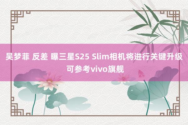 吴梦菲 反差 曝三星S25 Slim相机将进行关键升级 可参考vivo旗舰