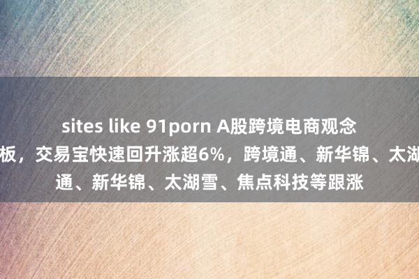 sites like 91porn A股跨境电商观念回暖！南极电商6天4板，交易宝快速回升涨超6%，跨境通、新华锦、太湖雪、焦点科技等跟涨