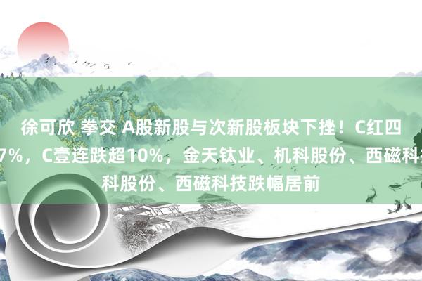徐可欣 拳交 A股新股与次新股板块下挫！C红四方现跌超37%，C壹连跌超10%，金天钛业、机科股份、西磁科技跌幅居前