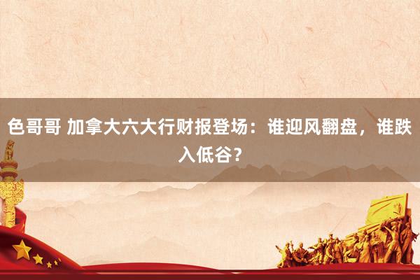 色哥哥 加拿大六大行财报登场：谁迎风翻盘，谁跌入低谷？