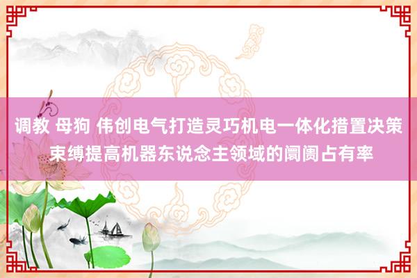 调教 母狗 伟创电气打造灵巧机电一体化措置决策 束缚提高机器东说念主领域的阛阓占有率
