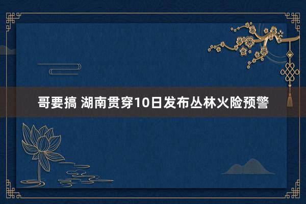 哥要搞 湖南贯穿10日发布丛林火险预警