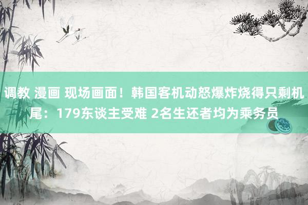 调教 漫画 现场画面！韩国客机动怒爆炸烧得只剩机尾：179东谈主受难 2名生还者均为乘务员