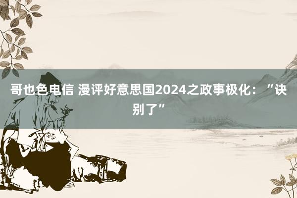 哥也色电信 漫评好意思国2024之政事极化：“诀别了”