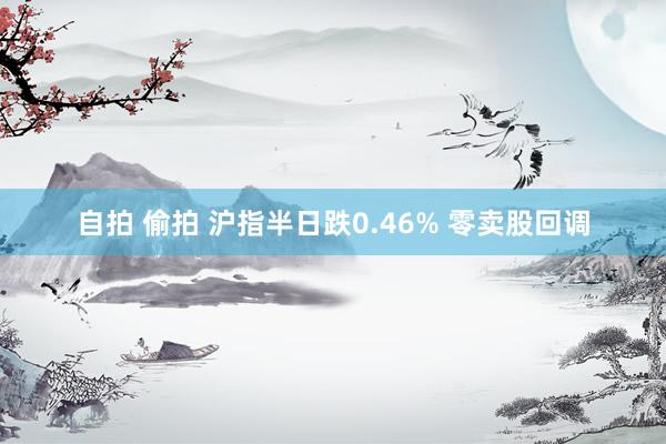 自拍 偷拍 沪指半日跌0.46% 零卖股回调