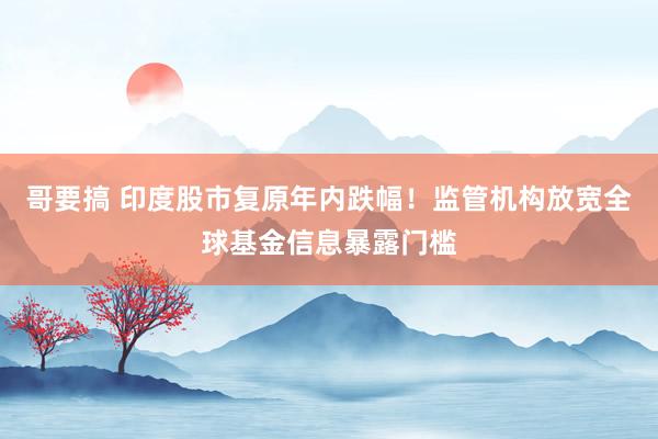 哥要搞 印度股市复原年内跌幅！监管机构放宽全球基金信息暴露门槛
