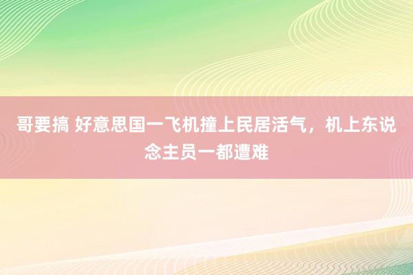 哥要搞 好意思国一飞机撞上民居活气，机上东说念主员一都遭难