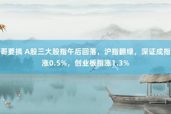 哥要搞 A股三大股指午后回落，沪指翻绿，深证成指涨0.5%，创业板指涨1.3%