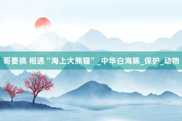 哥要搞 相遇“海上大熊猫”_中华白海豚_保护_动物