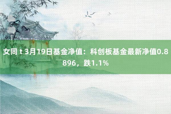 女同 t 3月19日基金净值：科创板基金最新净值0.8896，跌1.1%