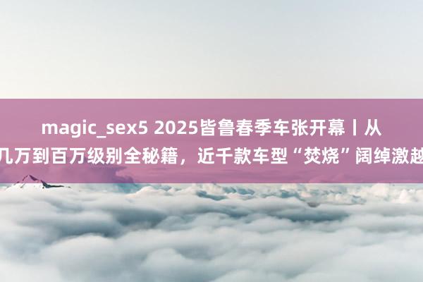 magic_sex5 2025皆鲁春季车张开幕丨从几万到百万级别全秘籍，近千款车型“焚烧”阔绰激越