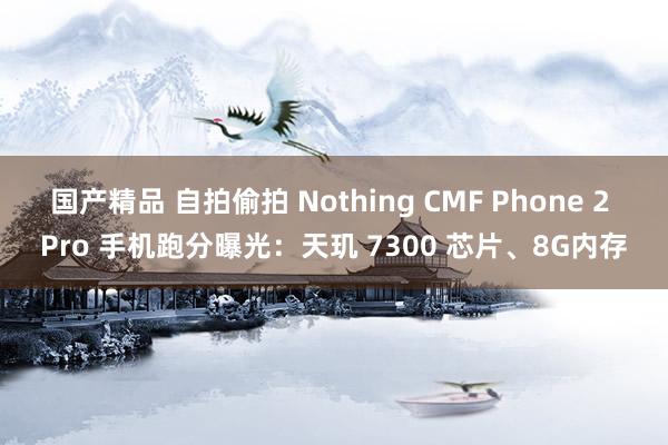 国产精品 自拍偷拍 Nothing CMF Phone 2 Pro 手机跑分曝光：天玑 7300 芯片、8G内存